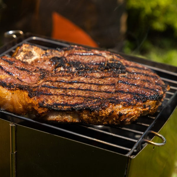 Foldable Chimney & Portable Grill